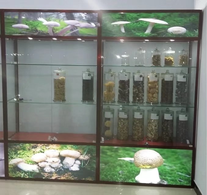 玻璃展柜