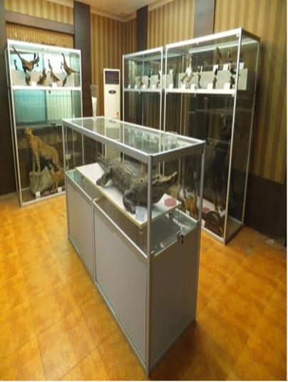 动、植、昆钢化玻璃展示柜1