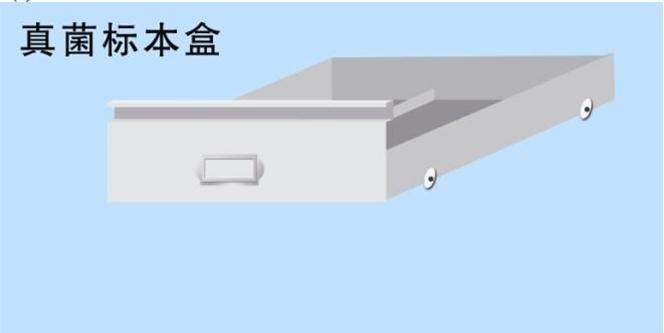 移动式及固定真菌标本柜