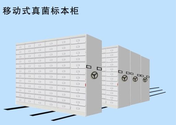 移动式及固定真菌标本柜2