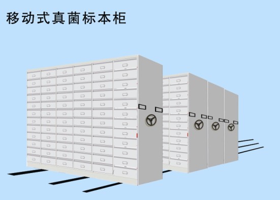 移动真菌柜效果图