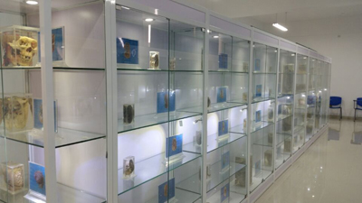 玻璃展示柜2