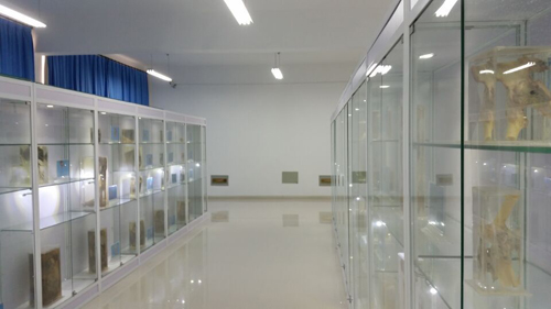 玻璃展示柜3